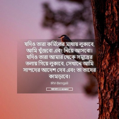 Picture 05 - আমোচ 9:3 BENIRV - যদিও তারা - Bible Verse Picture