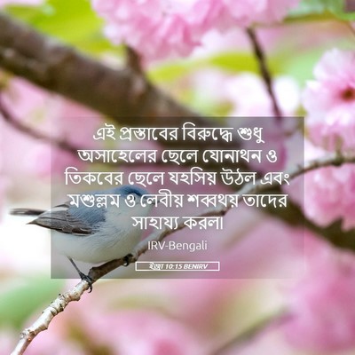 Picture 05 - ইজ্ৰা 10:15 BENIRV - এই প্রস্তাবের - Bible Verse Picture