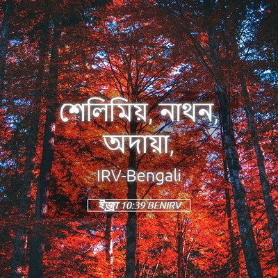 Picture 05 - ইজ্ৰা 10:39 BENIRV - শেলিমিয়, নাথন, - Bible Verse Picture