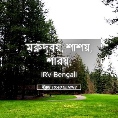 Picture 05 - ইজ্ৰা 10:40 BENIRV - মক্নদবয়, শাশয়, - Bible Verse Picture