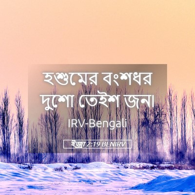 Picture 05 - ইজ্ৰা 2:19 BENIRV - হশুমের বংশধর দুশো - Bible Verse Picture