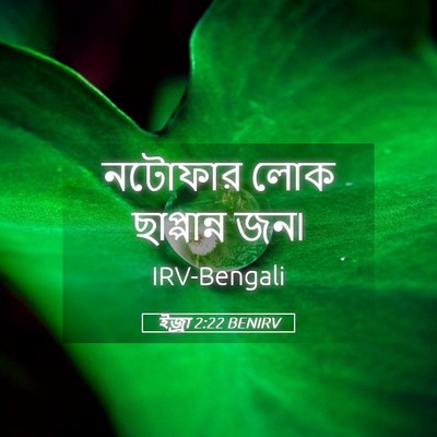 Picture 05 - ইজ্ৰা 2:22 BENIRV - নটোফার লোক - Bible Verse Picture