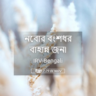 Picture 05 - ইজ্ৰা 2:29 BENIRV - নবোর বংশধর - Bible Verse Picture