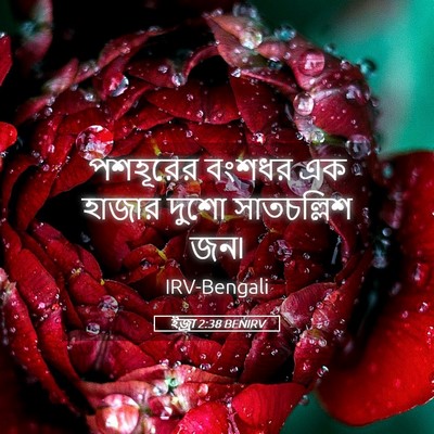 Picture 05 - ইজ্ৰা 2:38 BENIRV - পশহূরের বংশধর এক - Bible Verse Picture