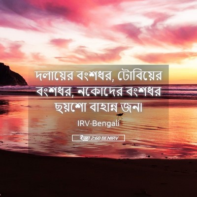 Picture 05 - ইজ্ৰা 2:60 BENIRV - দলায়ের বংশধর, - Bible Verse Picture