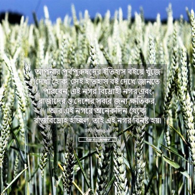 Picture 05 - ইজ্ৰা 4:15 BENIRV - আপনার - Bible Verse Picture