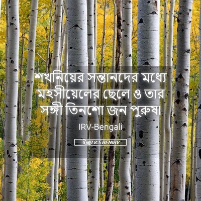 Picture 05 - ইজ্ৰা 8:5 BENIRV - শখনিয়ের - Bible Verse Picture