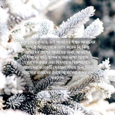 Picture 05 - ইজ্ৰা 9:9 BENIRV - কারণ আমরা দাস, তাই - Bible Verse Picture