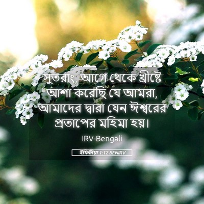 Picture 05 - ইফিচীয়া 1:12 BENIRV - সুতরাং, আগে থেকে - Bible Verse Picture