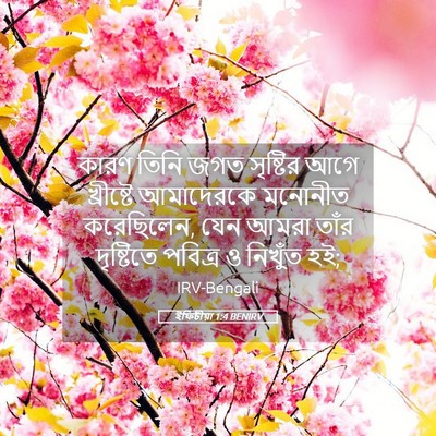 Picture 05 - ইফিচীয়া 1:4 BENIRV - কারণ তিনি জগত - Bible Verse Picture