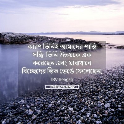 Picture 05 - ইফিচীয়া 2:14 BENIRV - কারণ তিনিই আমাদের - Bible Verse Picture