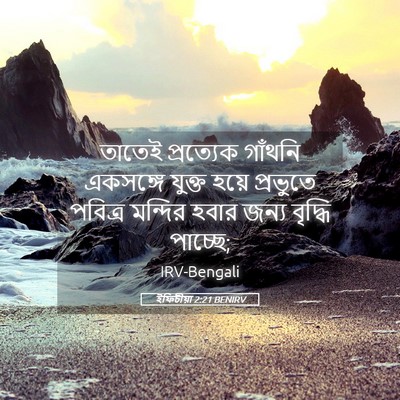 Picture 05 - ইফিচীয়া 2:21 BENIRV - তাতেই প্রত্যেক - Bible Verse Picture