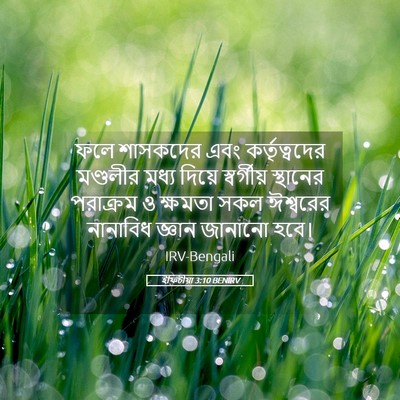 Picture 05 - ইফিচীয়া 3:10 BENIRV - ফলে শাসকদের এবং - Bible Verse Picture