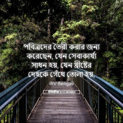Picture 05 - ইফিচীয়া 4:12 BENIRV - পবিত্রদের তৈরী - Bible Verse Picture
