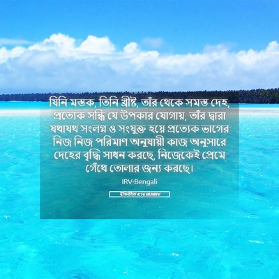 Picture 05 - ইফিচীয়া 4:16 BENIRV - যিনি মস্তক, তিনি - Bible Verse Picture