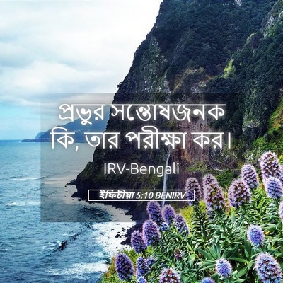 Picture 05 - ইফিচীয়া 5:10 BENIRV - প্রভুর সন্তোষজনক - Bible Verse Picture