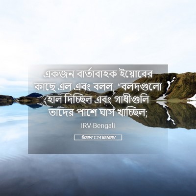 Picture 05 - ইয়োব 1:14 BENIRV - একজন বার্তাবাহক - Bible Verse Picture