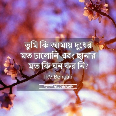 Picture 05 - ইয়োব 10:10 BENIRV - তুমি কি আমায় - Bible Verse Picture