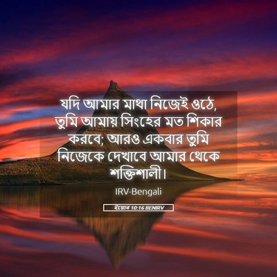 Picture 05 - ইয়োব 10:16 BENIRV - যদি আমার মাথা - Bible Verse Picture