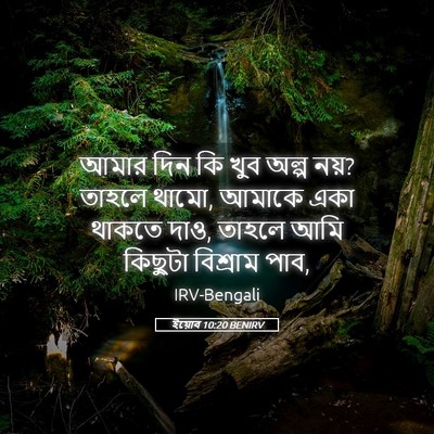 Picture 05 - ইয়োব 10:20 BENIRV - আমার দিন কি খুব - Bible Verse Picture