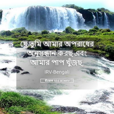 Picture 05 - ইয়োব 10:6 BENIRV - যে তুমি আমার - Bible Verse Picture