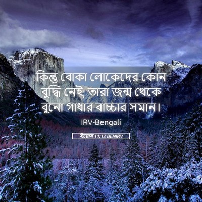 Picture 05 - ইয়োব 11:12 BENIRV - কিন্তু বোকা - Bible Verse Picture