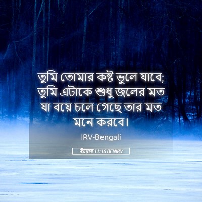 Picture 05 - ইয়োব 11:16 BENIRV - তুমি তোমার কষ্ট - Bible Verse Picture