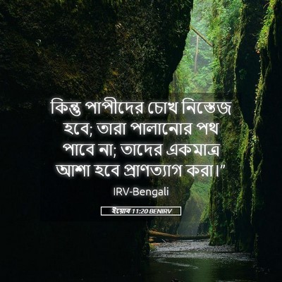 Picture 05 - ইয়োব 11:20 BENIRV - কিন্তু পাপীদের - Bible Verse Picture