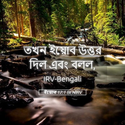 Picture 05 - ইয়োব 12:1 BENIRV - তখন ইয়োব উত্তর - Bible Verse Picture