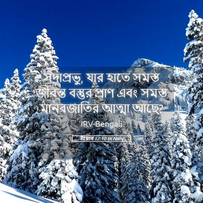 Picture 05 - ইয়োব 12:10 BENIRV - সদাপ্রভু, যার হাতে - Bible Verse Picture