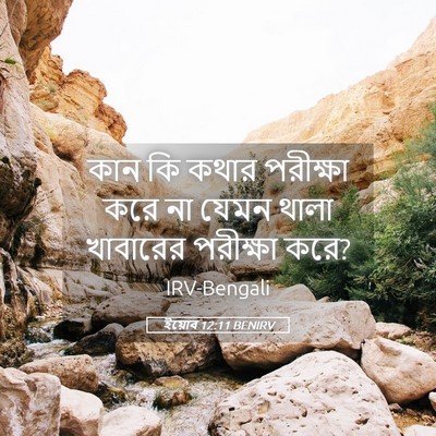 Picture 05 - ইয়োব 12:11 BENIRV - কান কি কথার - Bible Verse Picture