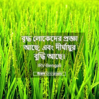 Picture 05 - ইয়োব 12:12 BENIRV - বৃদ্ধ লোকেদের - Bible Verse Picture