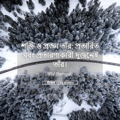 Picture 05 - ইয়োব 12:16 BENIRV - শক্তি ও প্রজ্ঞা - Bible Verse Picture