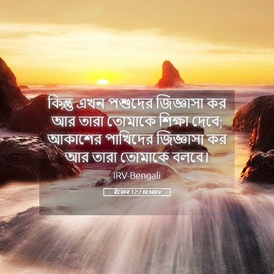 Picture 05 - ইয়োব 12:7 BENIRV - কিন্তু এখন পশুদের - Bible Verse Picture