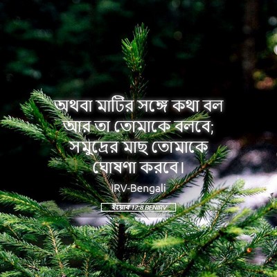Picture 05 - ইয়োব 12:8 BENIRV - অথবা মাটির সঙ্গে - Bible Verse Picture
