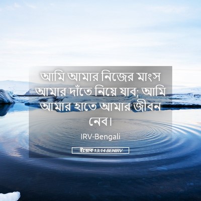 Picture 05 - ইয়োব 13:14 BENIRV - আমি আমার নিজের - Bible Verse Picture