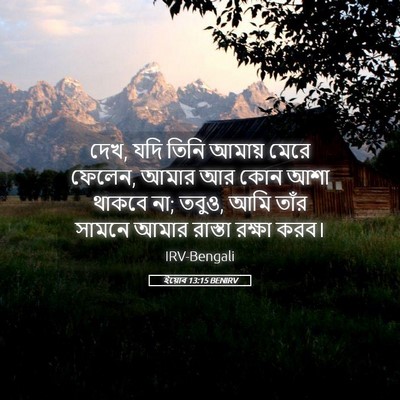 Picture 05 - ইয়োব 13:15 BENIRV - দেখ, যদি তিনি আমায় - Bible Verse Picture