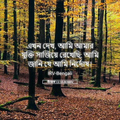 Picture 05 - ইয়োব 13:18 BENIRV - এখন দেখ, আমি আমার - Bible Verse Picture