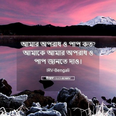 Picture 05 - ইয়োব 13:23 BENIRV - আমার অপরাধ ও পাপ - Bible Verse Picture