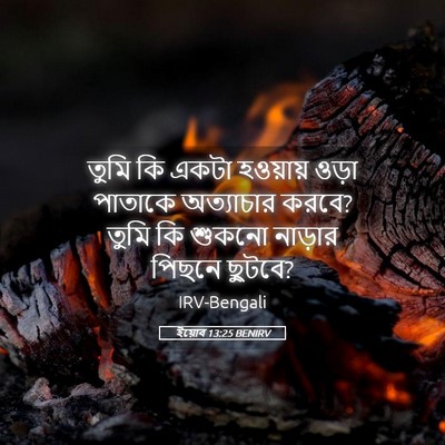 Picture 05 - ইয়োব 13:25 BENIRV - তুমি কি একটা - Bible Verse Picture