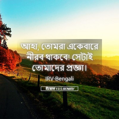 Picture 05 - ইয়োব 13:5 BENIRV - আহা, তোমরা একেবারে - Bible Verse Picture
