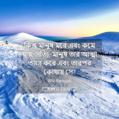 Picture 05 - ইয়োব 14:10 BENIRV - কিন্তু মানুষ মরে - Bible Verse Picture