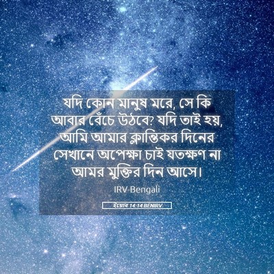 Picture 05 - ইয়োব 14:14 BENIRV - যদি কোন মানুষ মরে, - Bible Verse Picture