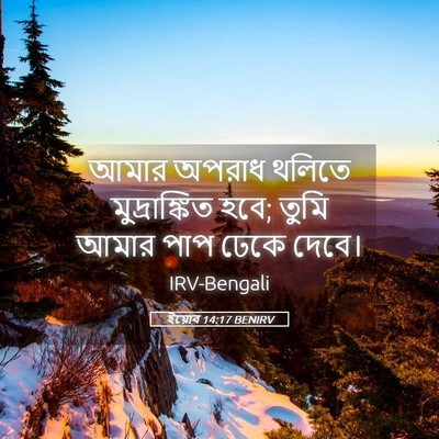 Picture 05 - ইয়োব 14:17 BENIRV - আমার অপরাধ থলিতে - Bible Verse Picture