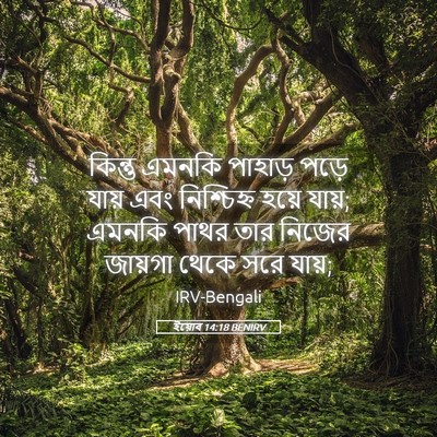 Picture 05 - ইয়োব 14:18 BENIRV - কিন্তু এমনকি - Bible Verse Picture