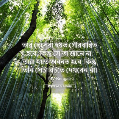 Picture 05 - ইয়োব 14:21 BENIRV - তার ছেলেরা হয়ত - Bible Verse Picture