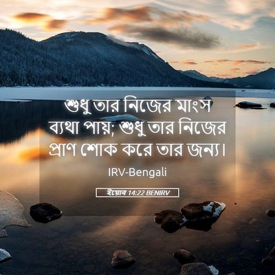 Picture 05 - ইয়োব 14:22 BENIRV - শুধু তার নিজের - Bible Verse Picture