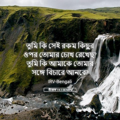 Picture 05 - ইয়োব 14:3 BENIRV - তুমি কি সেই রকম - Bible Verse Picture