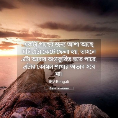 Picture 05 - ইয়োব 14:7 BENIRV - একটা গাছের জন্য - Bible Verse Picture