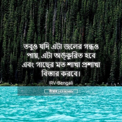 Picture 05 - ইয়োব 14:9 BENIRV - তবুও যদি এটা জলের - Bible Verse Picture